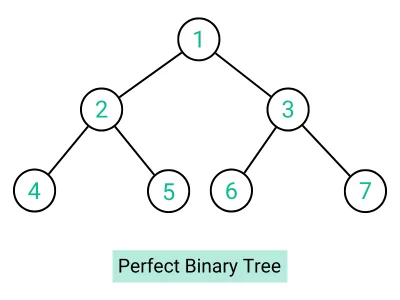 Perfect Binary Tree